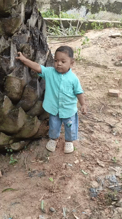 Morning moments captured in Lhokseumawe: child by tree, spiderweb