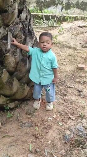 Morning moments captured in Lhokseumawe: child by tree, spiderweb