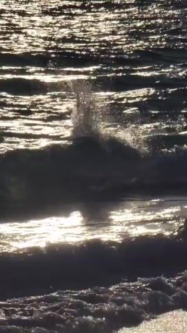 A video shows a body of water with choppy waves that reflect sunlight. Silhouettes of two people can be seen wading in the water. One person is further back in the water, while the other is closer to the foreground. Both are partially submerged and their actions are not entirely clear due to the lighting and distance. The scene appears to be outdoors, likely a beach or ocean.
