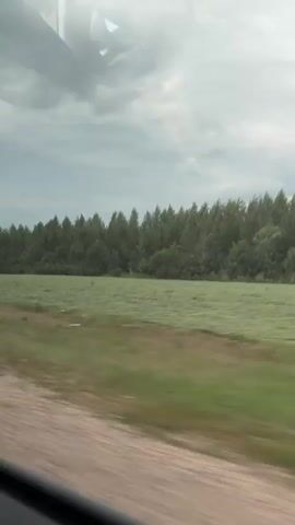 The video shows a view from inside a vehicle moving through a rural landscape. The foreground features a blurred dirt road, with green grass and a large field visible beyond it. A dense forest forms the background, with a cloudy sky overhead. The motion blur indicates the vehicle is in transit. No people or specific objects are clearly identifiable. The environment appears to be natural and undeveloped.