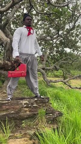 A person stands on a rock formation next to a large tree. The person is wearing a white shirt, gray pants, a red scarf, and a black beanie. They are holding a red bag in their left hand. The background is filled with lush green grass and trees. The sky is overcast.