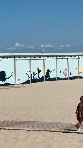 A seagull stands on top of a row of beach changing stalls. The stalls have light blue doors with black silhouette murals of mermaids, coral, and fish. The beach is sandy, with wooden planks visible in the foreground. The sky is blue with scattered white clouds.