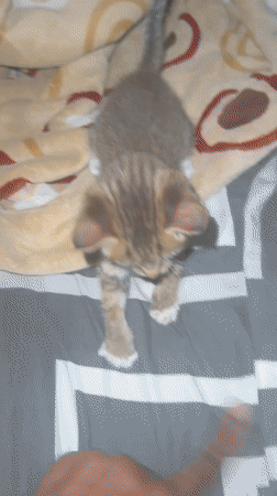 Daily life moments captured across Jos, Nigeria neighborhoods