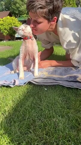 A person kneels on a blue and white striped blanket spread on a grassy lawn, leaning forward to kiss a small, light-colored cat. The cat, wearing a red collar with a bell, is sitting upright on the blanket. The person has short brown hair and is wearing a light-colored shirt. Sunlight filters through unseen trees, casting shadows on the scene. The background shows more greenery and a wooden structure, suggesting an outdoor setting.