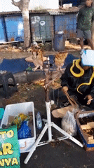 Street market day in Kedungpedaringan, reptiles, food stalls, and all
