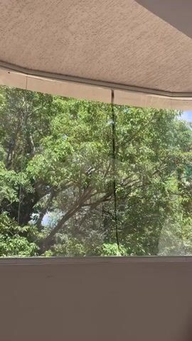 The video shows a view through a window of trees with green leaves. The window appears to be made of glass and has a frame. The overall lighting suggests it is daytime. The background is blurry, and the focus is on the foliage outside.