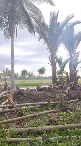 Baratpayaitek, Indonesia