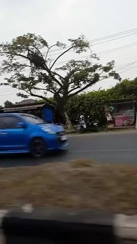 The video shows a blurry, fast-moving view from a vehicle. The scene is a roadside with several buildings and trees. There are power lines overhead. In the foreground, the blurred image of the vehicle's interior is visible. In the middle ground, there are some small roadside structures, possibly stalls or shops. Further back, there are larger buildings. Several vehicles, including cars and motorcycles, are visible on the road and parked near the buildings. The sky is overcast. The overall impression is of a busy street in a town or city.