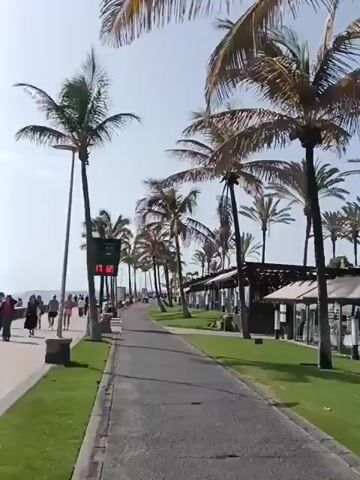 The video shows a walkway lined with palm trees on a sunny day. There's a digital sign displaying the time, 17:12. To the side of the walkway, there is a grassy area with an outdoor seating area, consisting of tables and chairs, under a pergola-like structure. People are seen sitting, eating, and enjoying themselves at the outdoor seating area. Some people are walking by on the walkway.
