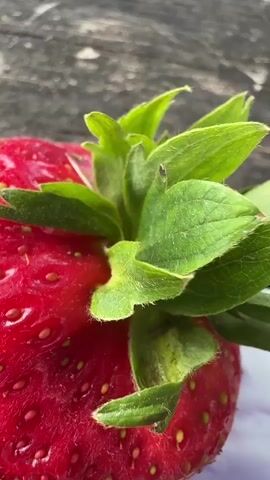 The video shows a close-up, then a wider shot of two ripe strawberries placed on top of a pamphlet with the words "Borde Hill Welcome" and an image of a garden with a pond. The pamphlet is on a weathered wooden table. In the background, a grassy area with trees is visible, and a plastic container of yogurt is partially seen on the table. The lighting suggests it is daytime and outdoors. There are no people in the video.