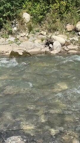 The video shows a close-up view of a clear, flowing river. The water is shallow, with rocks visible on the riverbed and along the bank. Sunlight glints off the water's surface, creating ripples and highlights. The riverbank is lined with rocks and vegetation, including green bushes and trees. The scene appears natural and serene, suggesting an outdoor environment. There are no people or animals visible in the frame. The footage is taken from a low angle, looking across the water.