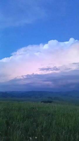 The video captures a wide shot of a grassy meadow under a large, colorful sky. The meadow in the foreground is lush and green, with blades of grass swaying slightly. In the middle ground, rolling hills are covered in the same green vegetation, with a few clusters of trees dotting the landscape. The sky dominates the upper portion of the frame. Large, puffy white clouds are illuminated by the setting sun, casting shades of pink and purple onto the clouds below. The sky transitions from a bright blue at the top to a deeper purple and gray near the horizon, suggesting the approach of evening or possibly an approaching storm. The overall impression is of a serene and natural landscape at dusk.