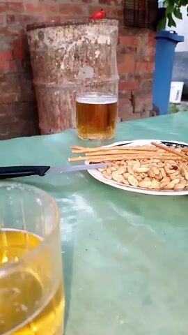 The video pans across a table set outdoors. A glass of beer is in the foreground, with a second glass of beer and a plate of snacks on the table behind it. The snacks appear to be peanuts and breadsticks. A knife lies on the table next to the plate. In the background, a brick wall and a large metal barrel are visible. The overall impression is of a casual gathering or a moment of relaxation.