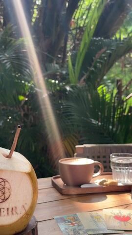 A wooden table in an outdoor setting is bathed in sunlight filtering through lush green foliage. On the table is a wooden tray holding a cup of coffee, a glass of water, and a few cookies. Next to the tray is a coconut with a straw. A black conical fly repellent with rotating soft blades stands near a plate of food garnished with cream and berries. Spread across the table are several tarot cards. The setting suggests a relaxed or mystical atmosphere.