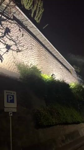 The video shows a low-angle shot of a building at night. The building has a white, textured wall with many human head-shaped reliefs. A silhouetted tree is in the foreground, partially obscuring the view of the building. To the left of the tree, there is a Zona A parking sign. The lighting is dim, but the building wall is illuminated. There is some green vegetation to the right of the wall and at the top right. The camera zooms in slightly.