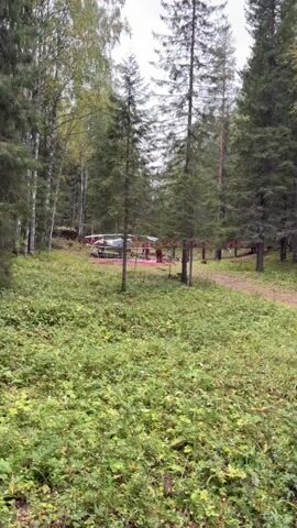 The video opens with a wide shot of a wooded area, possibly a park or nature reserve. Tall, thin trees, primarily conifers and birch trees, dominate the landscape. The ground is covered in lush green foliage, indicating a temperate climate and potentially autumn given the muted colors of the leaves. A winding dirt path is visible, leading through the trees.

As the camera pans and moves forward, structures begin to appear in the distance. The first is a small, wooden, onion-domed building that resembles a chapel or a small church. Further into the woods, there are more wooden structures, some appearing to be shelters or small buildings with green roofs. A sign with red and white markings is attached to a tree.

The scene then shifts to a wooden boardwalk or bridge, partially covered in what appears to be rain or dew. Several people are gathered on this boardwalk. Some are wearing camouflage-style clothing, while others are dressed in more casual attire. A young child in a pink jacket is standing with adults.

The camera continues to move, revealing a larger gathering of people walking along the boardwalk. Many are holding umbrellas, suggesting it is raining or has recently rained. The overall impression is of a public gathering or event taking place in a natural, wooded setting. The atmosphere appears somewhat subdued, possibly due to the weather or the nature of the event.