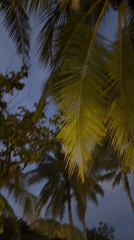 Resort visitors document vacation moments in Kuta Selatan, Indonesia