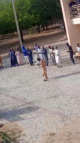 The video shows a group of people standing on a paved area, some of whom are dancing or moving around. The people are a mix of ages and are wearing various types of clothing, including traditional robes and casual wear. Some people are standing on a balcony of a building in the background. Trees and other greenery are visible in the distance. The setting appears to be outdoors on a sunny day. One person in a brown outfit is dancing enthusiastically, while others are watching and possibly participating in the activity.
