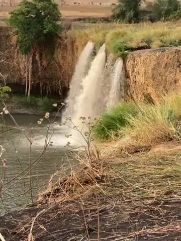 The video shows a small waterfall cascading over a grassy cliff into a body of water below. The waterfall appears to be divided into several streams. The surrounding area is dry and grassy, with some trees and shrubbery visible. In the distance, there appears to be a herd of cattle.