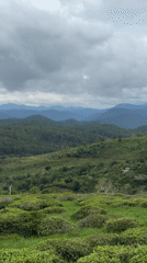 Cloudy morning landscapes documented across Vietnam's Central Highlands districts