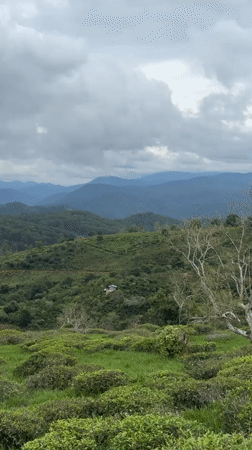 Cloudy morning landscapes documented across Vietnam's Central Highlands districts