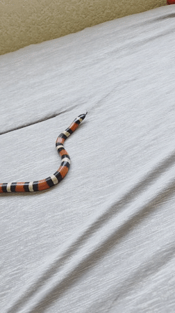 Two people photographed in close-up in Puebla, Mexico