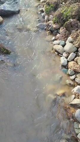 A narrow stream flows through a channel lined with rocks and dirt. The water is slightly cloudy but visibly flowing. Grass and small plants are visible at the edge of the stream on one side.