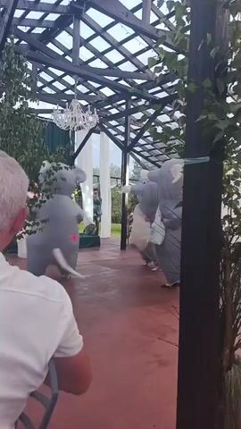 Two people dressed in inflatable elephant costumes walk down a pathway under a wooden pergola. The pathway is lined with red paving stones. To the left, a person in a white shirt is seated and facing away from the camera, observing the scene. In the background, two people stand near a white curtain. One person is wearing a black shirt and holding a camera, while the other is wearing a white top. A chandelier hangs from the ceiling of the pergola. Green foliage borders the pathway on both sides.