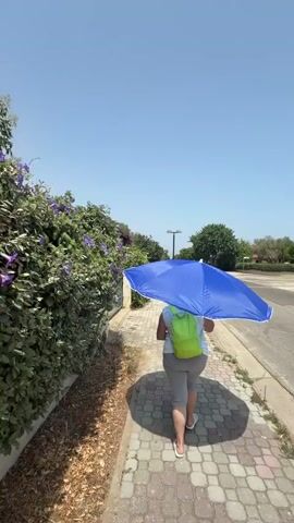 A person walks along a paved sidewalk, holding a bright blue umbrella overhead. They are wearing a green backpack and grey shorts. The sidewalk is bordered by a lush green bush with purple flowers on the left and a street on the right. The sky above is a clear, bright blue, suggesting a sunny day. The scene appears to be in a residential area with houses and trees visible in the background.