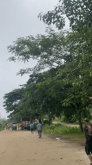 Early morning scenes of livestock markets and street life in Dhaka