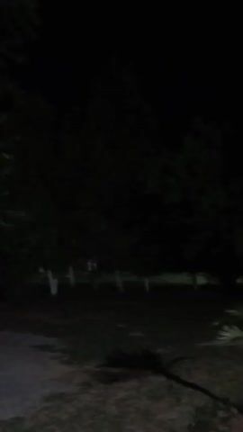 The video shows a very dark outdoor scene at night, with several potted plants and a patch of grass in the foreground. It appears to be a garden or yard. The background is dominated by a dark building. The overall lighting is very poor, making it difficult to discern details. The camera is shaky.