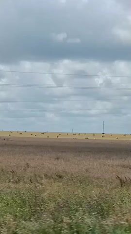 A wide shot of a rural landscape. In the foreground, there is a grassy area with some weeds and tall grasses. Behind this is a large field of dry, brown vegetation, possibly harvested crops. Further in the background, there is a vast golden field dotted with numerous round hay bales. A thin, dark line of trees or structures is visible on the horizon. Overhead, a cloudy sky dominates the scene, with several horizontal power lines crossing the frame. A single wooden utility pole with insulators stands tall in the middle ground. The video appears to be taken from a moving vehicle, indicated by the slight blur and the panning motion.