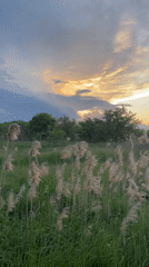 Sunset landscape captured over Russian grasslands near Donskoye