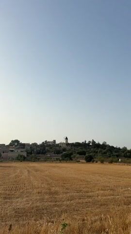 A vertical video shows a landscape with a harvested field in the foreground and a village on a hill in the background. The sky is clear and blue. The field is covered in stubble, indicating that a crop has been recently harvested. The village is small and appears to be made of stone buildings. There is a windmill on the hill. The overall impression is one of a rural and tranquil setting.