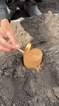 Three people with shovels spotted near greenhouse in Ulyanovsk