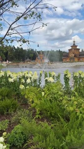 The video captures a serene outdoor scene with a lake and a fountain in the foreground. On the far side of the lake, a collection of traditional wooden buildings with golden domes is visible, nestled among lush green trees. A prominent fountain sprays water high into the air in the center of the lake, creating a dynamic visual element. In front of the lake, the foreground is filled with vibrant green foliage and clusters of white flowers, adding a touch of natural beauty to the landscape. The sky above is a mix of blue and white clouds, suggesting a pleasant day. The overall impression is one of tranquility and natural splendor, with the man-made structures complementing the natural environment.