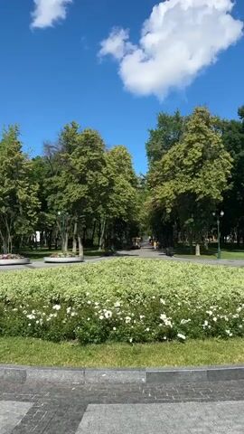 This is a vertical, eye-level shot of a park on a sunny day. In the foreground is a circular flower bed filled with dense green foliage and small white flowers, bordered by a stone path and manicured grass. Beyond the flower bed, a paved walkway stretches into the distance, lined with mature trees. The trees on either side of the walkway create a canopy, with sunlight filtering through the leaves. A bright blue sky with scattered white clouds forms the backdrop. In the mid-ground, several people are visible on the walkway. One person is riding a red and white electric cart. Other individuals appear to be walking or standing. A lamppost is visible on the right side of the walkway.