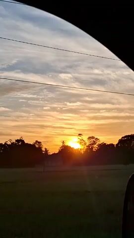 The video captures a sunset viewed through the window of a moving vehicle. The sun is visible near the horizon, partially obscured by trees and silhouetted against a sky filled with streaks of clouds. The foreground consists of a dark silhouette of what appears to be a field or grass, suggesting an outdoor, rural setting. The scene is framed by the dark interior of the vehicle, possibly a car or bus, with a curved edge visible at the top and right. Electrical wires are also visible stretched across the sky. The overall impression is one of a scenic journey at dusk.
