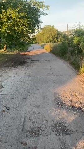 The video is a first-person perspective walking down a paved rural road. The road is cracked and weathered, with patches of dirt and gravel visible. On the left side of the road, there are trees and foliage, casting shadows on the pavement. On the right side, tall grass and more trees line the road, with the setting sun casting warm light and long shadows. The sky is a clear blue with a hint of yellow from the setting sun. The overall scene is peaceful and idyllic, suggesting a rural or suburban setting in the late afternoon or early evening. There are no people or animals visible in the video.