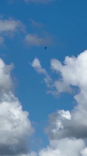 Small dark object floats high in cloudy sky over Uman
