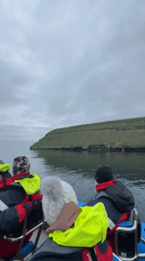 Wildlife boat tour captures serene Húsavík coastline and seabirds