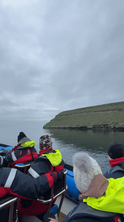 Wildlife boat tour captures serene Húsavík coastline and seabirds