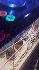 Female DJ performs at club with purple lighting
