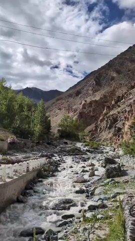 A fast-flowing, rocky river cuts through a valley with steep, dry, mountainous terrain on both sides. The sky above is partly cloudy. On the left bank, there is a concrete retaining wall and some greenery, including trees and a small pink flowering plant. Several dark-colored animals, possibly goats or sheep, are visible grazing or walking near the river and on the bank. The water is muddy and appears to be moving rapidly over stones. Power lines are visible in the upper part of the frame.