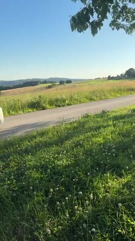 A white car drives down a paved road bordered by green grass and trees. The sun is shining, creating long shadows. The car is moving away from the camera.