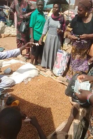 The video shows a group of people gathered around a large pile of small, brown seeds, likely beans or peas, laid out on a rough surface. Some individuals appear to be engaging in a transaction. One person, wearing a green shirt, is reaching out with their hand. Another person, in the upper right of the frame, is holding and showing several banknotes. Several bags are visible, including a white sack and a large red and white bag in the background. The ground appears to be dirt or sand, suggesting an outdoor market setting. The lighting indicates it is daytime. Several individuals are partially visible, wearing traditional clothing.