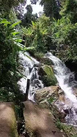 The video shows a waterfall cascading over rocks in a lush, green forest. The water is white and foamy as it rushes down, surrounded by dense vegetation and trees. The sunlight filters through the leaves, creating dappled light on the scene. There is a pathway or ledge made of concrete in the foreground, with some plants growing around it. A dark pole is visible near the center of the waterfall.