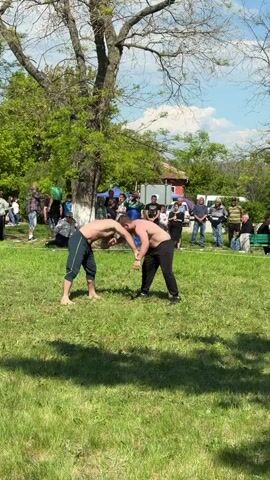 Two shirtless men in wrestling pants grapple in a grassy field. Spectators stand behind them. A referee in black stands nearby. A large tree provides shade. The sky is blue with some clouds.