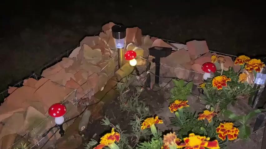 This is a nighttime video of a garden bed decorated with solar-powered mushroom lights and marigold flowers. The garden bed is bordered by broken bricks and wire mesh. Several mushroom-shaped lights, with red tops and white bases, are visible and illuminated. Some are positioned among the plants, while others are near the edge of the bed. There are also a few taller solar lights with blue tops and a solar-powered black device. The marigolds are in bloom, with petals ranging from yellow to dark red. The ground is dark soil, and the surrounding area is dimly lit, suggesting it is nighttime. The camera angle is slightly elevated, looking down into the garden bed.