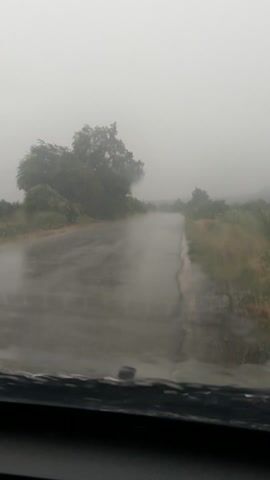 This media file captures a view from a vehicle moving along a wet, paved road through a misty or foggy landscape. The road curves gently to the right and recedes into the distance, obscured by the fog. On the left side of the road, there is lush green vegetation, including trees and grassy areas, which are also softened by the atmospheric conditions. On the right side, the landscape appears to rise slightly, with more sparse vegetation visible. The overall impression is one of a rural or semi-rural setting on a day with poor visibility due to fog or heavy mist, possibly rain. The wetness of the road suggests recent or ongoing precipitation. There are no people or distinct objects visible, only the natural environment and the road itself. The scene evokes a sense of quiet isolation and the challenges of driving in reduced visibility. The time of day is indeterminate due to the fog, but the light appears diffused and consistent with daylight. No text is visible in the media file.